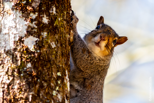 You Ain't Seen Me - Right!