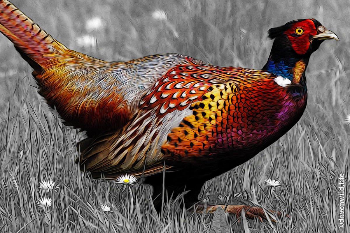 Sharp Dressed Man (Art)