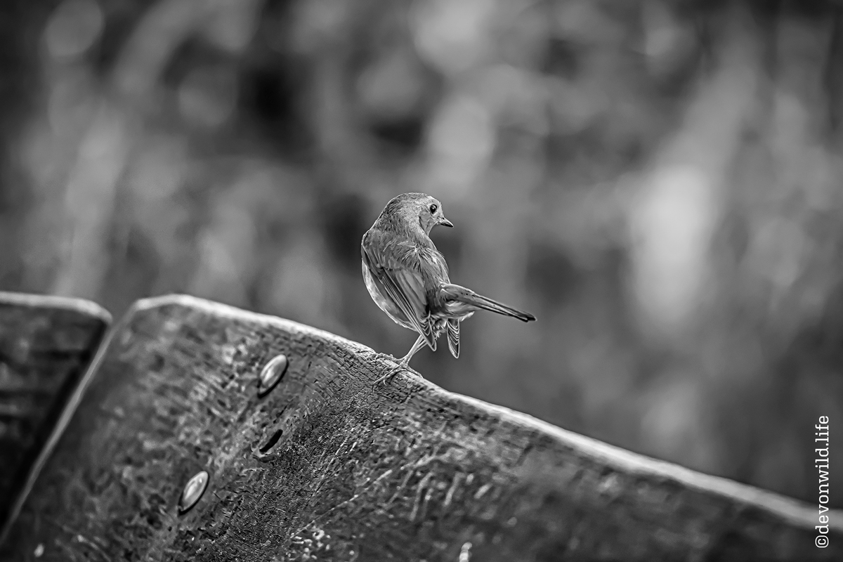 Up On The Boardwalk.php
