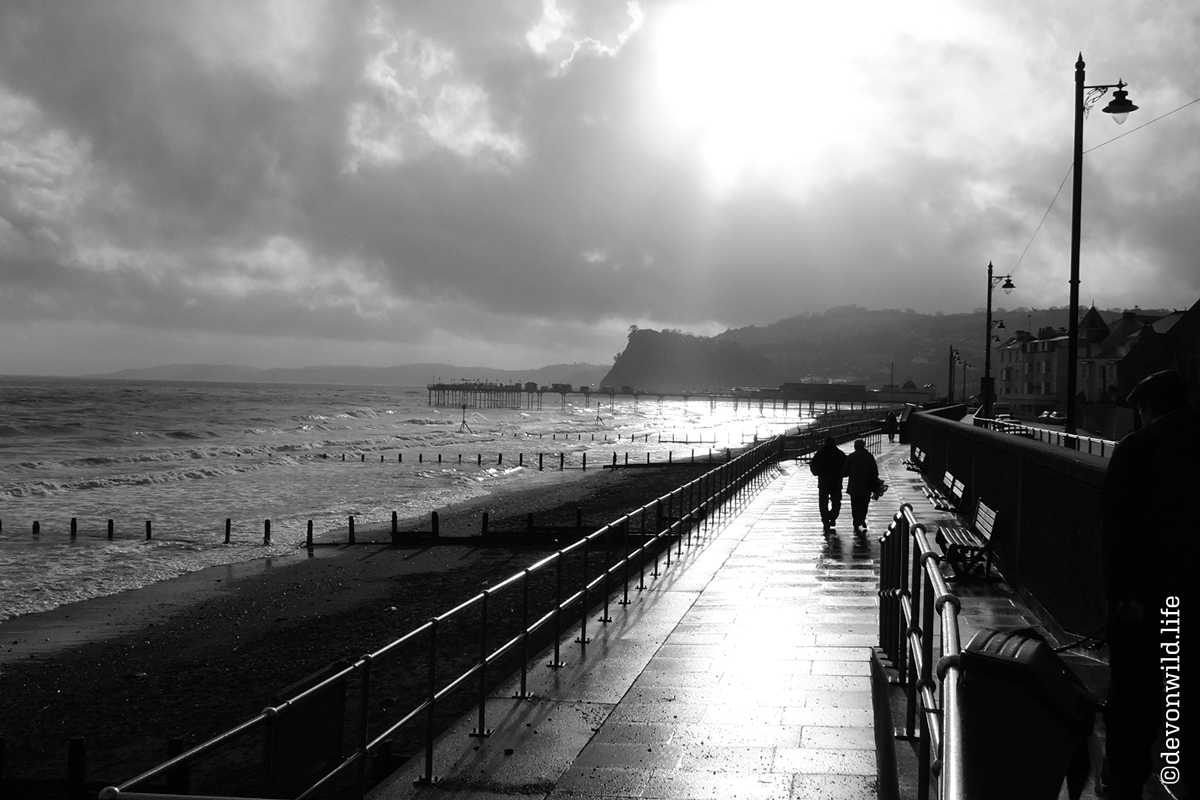 Sun On A Winters' Day