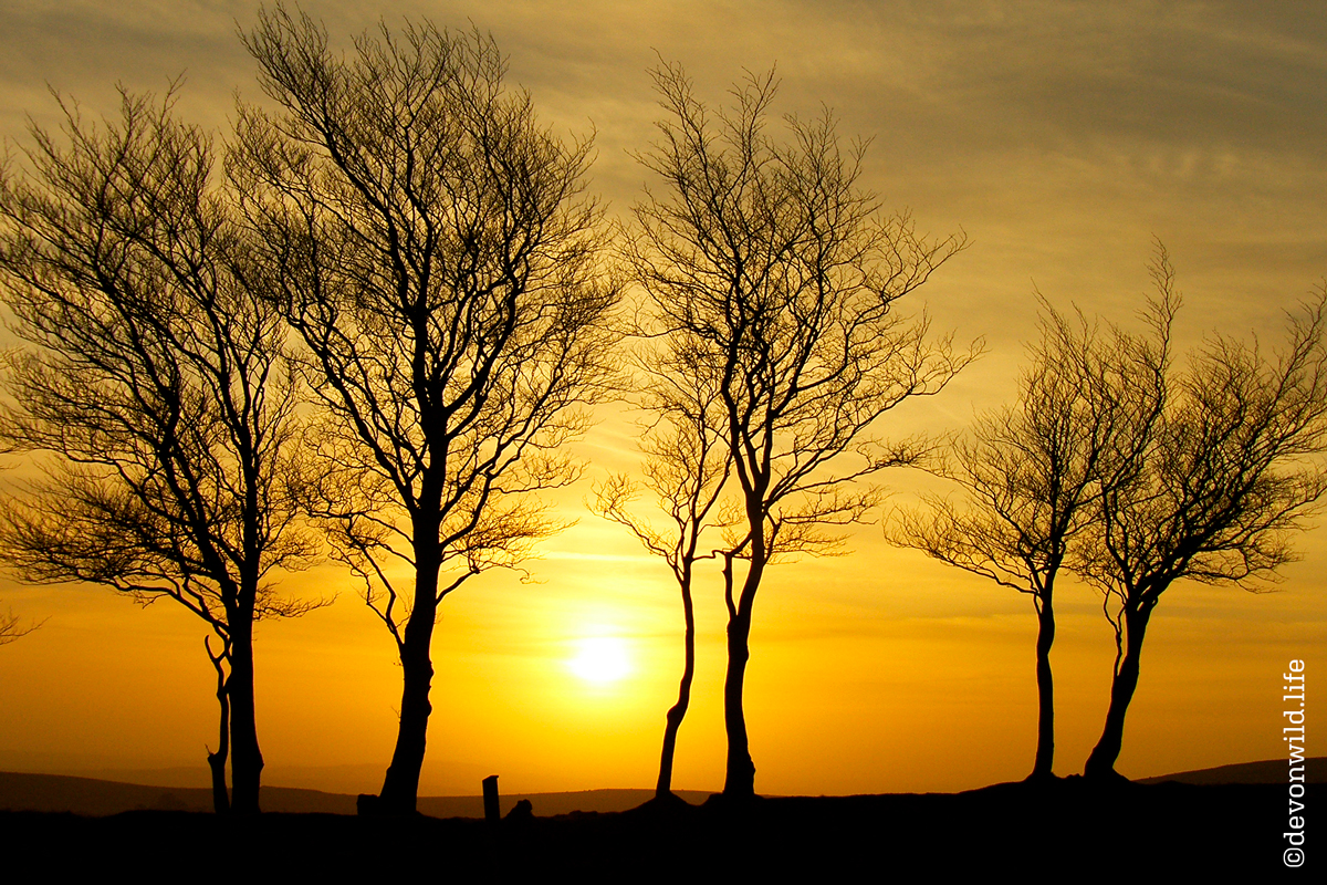 Sunset Over Dartmoor