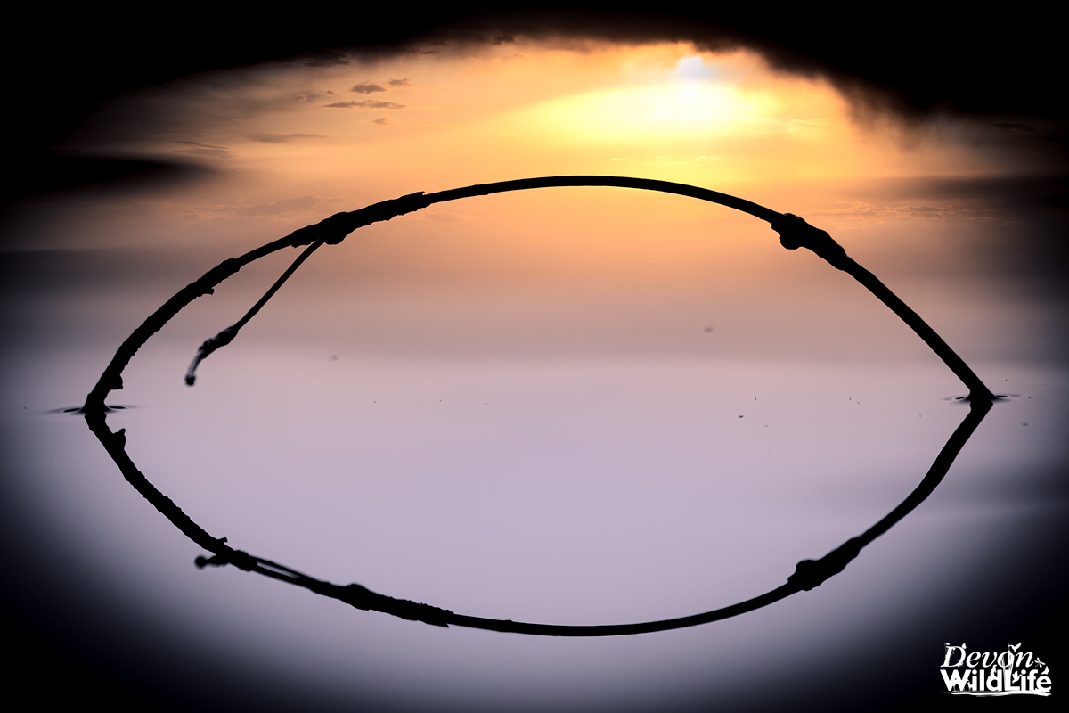 Water Under The Bridge