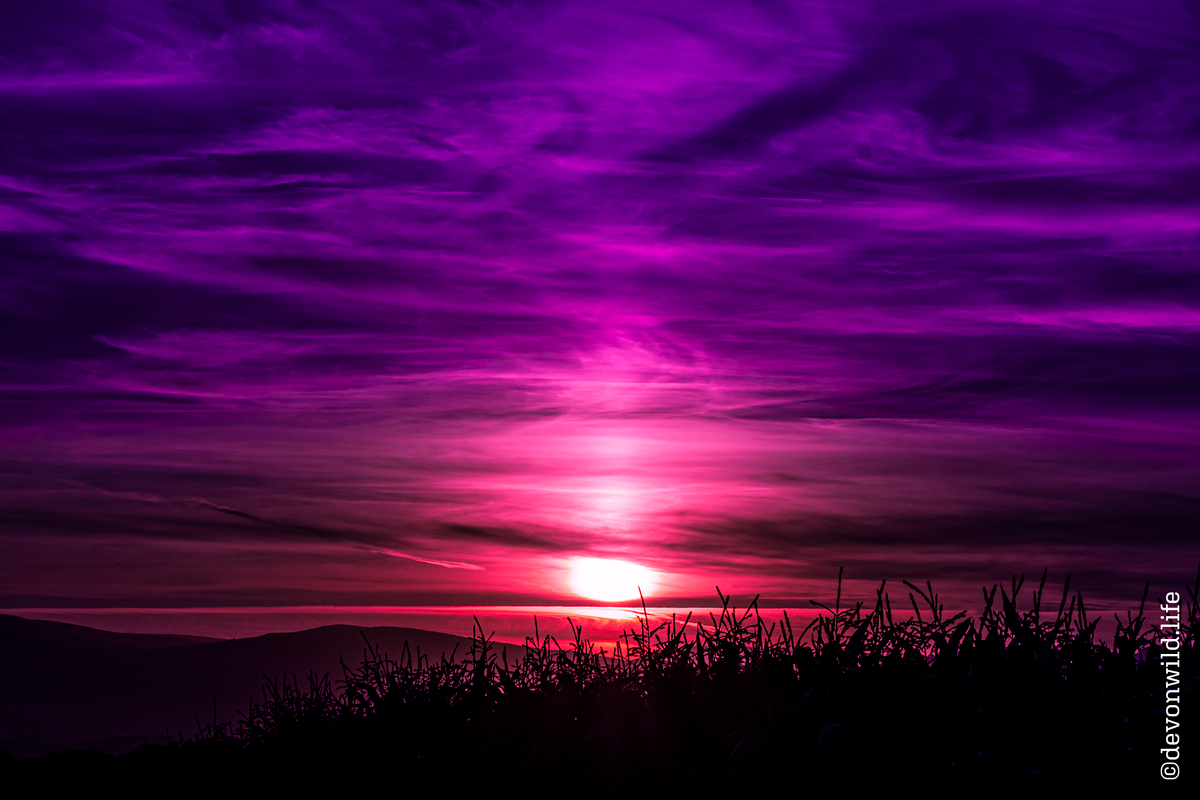 Don't Dream It's Over