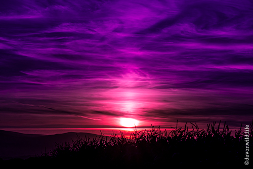 Don't Dream It's Over