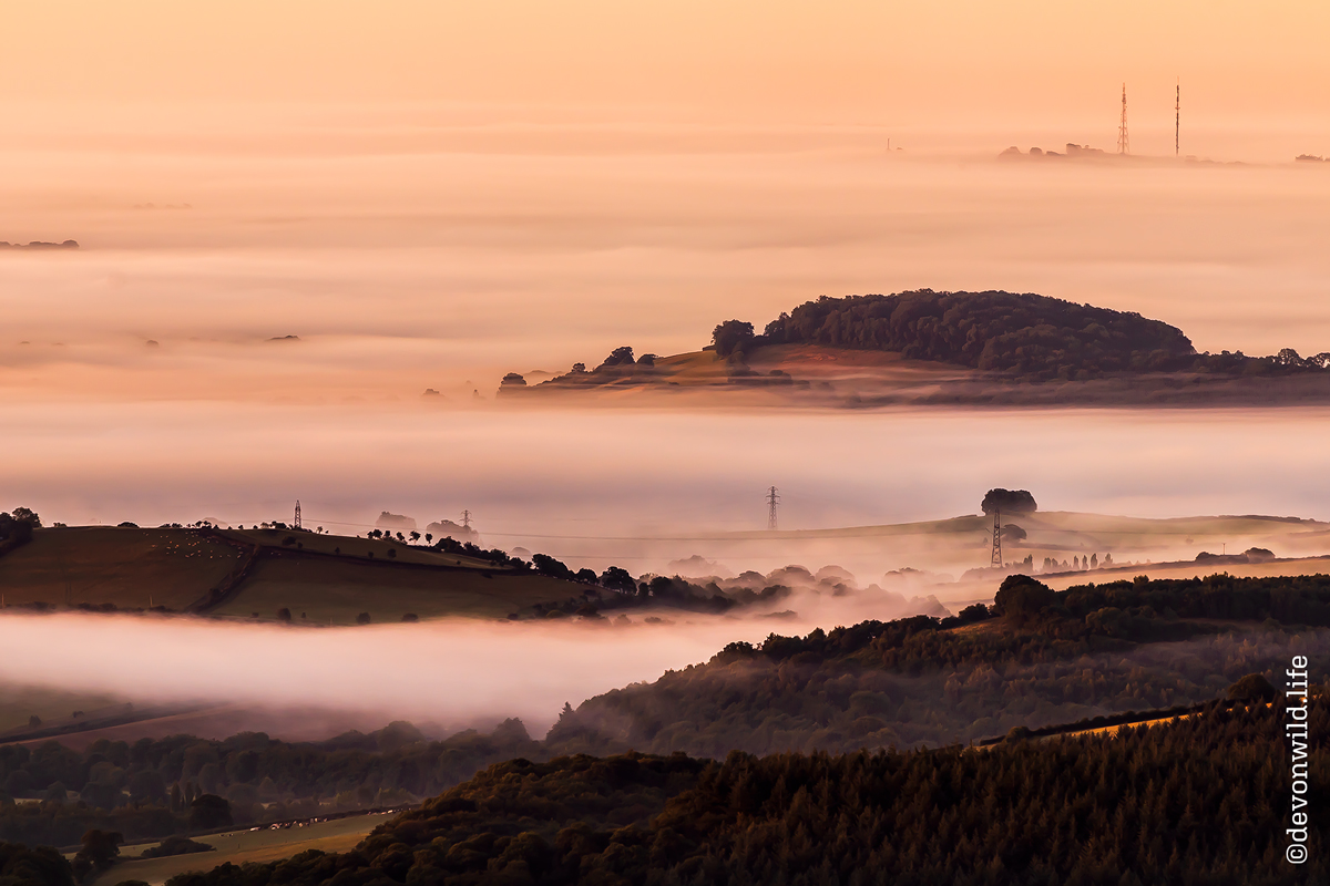 Islands In The Stream